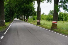 Koroblaski na drodze